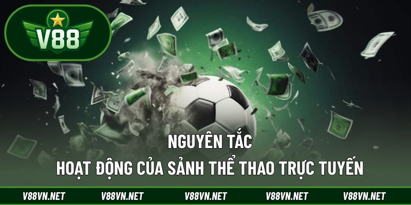 Nguyên tắc hoạt động của sảnh thể thao trực tuyến