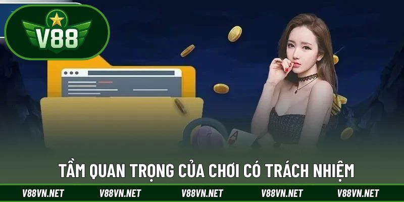 Vai trò của chính sách là gì?