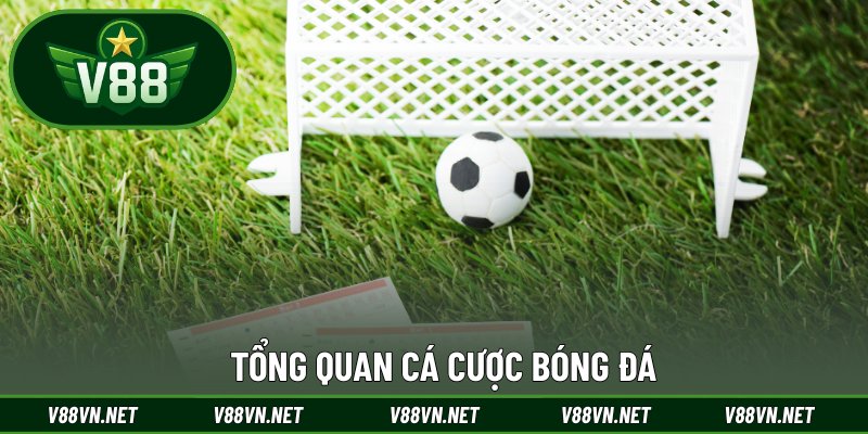 Tổng quan cá cược bóng đá