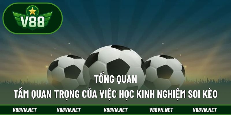 Tổng quan tầm quan trọng của việc học kinh nghiệm soi kèo